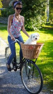 košík na bicykel so psom