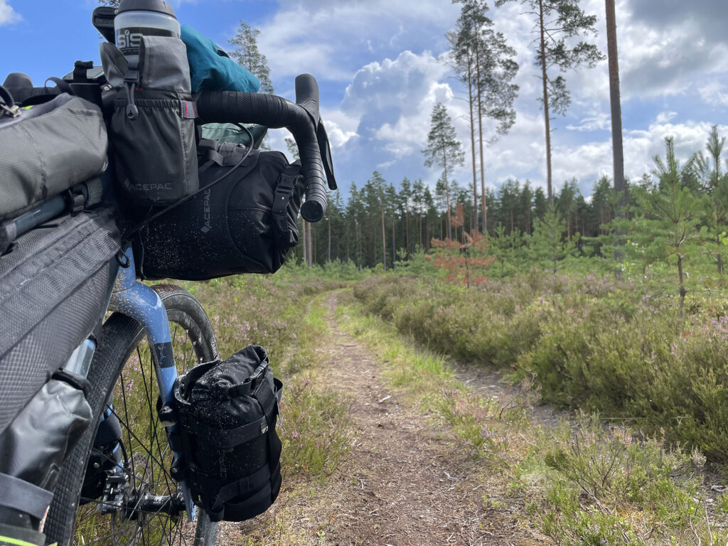 Bikepacking Pobaltím - lesná cesta
